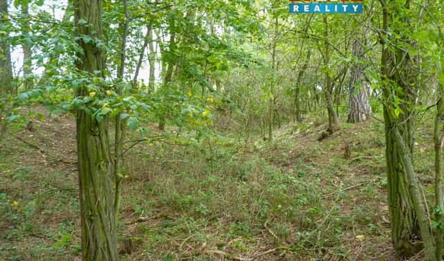 Prodej lesa 675 m², Dolní Habartice, okres Děčín