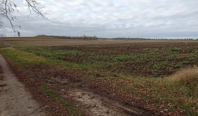 Prodej pozemku 25 617 m², Sedlec, okres Břeclav