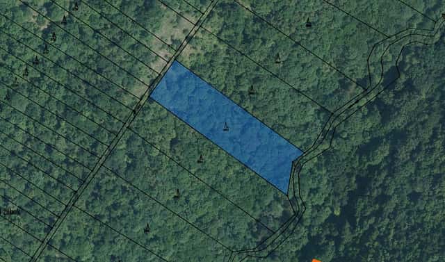 Prodej lesa 235 m², Brno, okres Brno-město