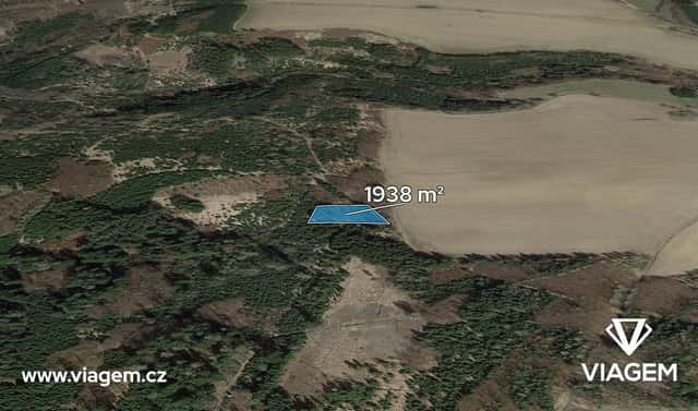 Prodej lesa 1 292 m², Řendějov, okres Kutná Hora