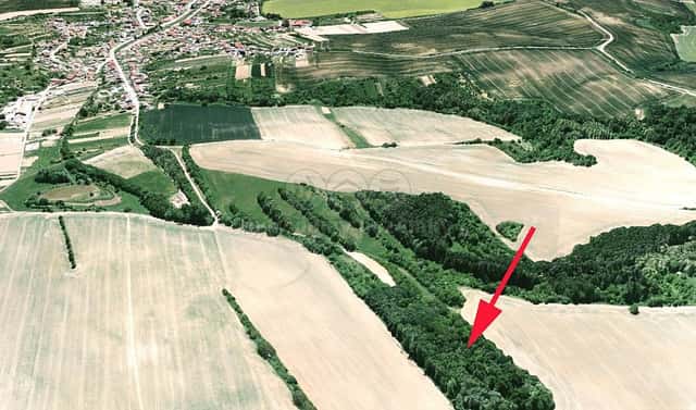 Prodej louky 1 189 m², Jalubí, okres Uherské Hradiště