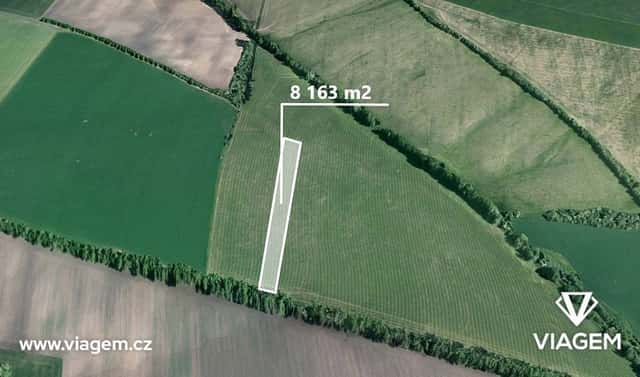 Prodej pole 8 163 m², Šumice, okres Uherské Hradiště