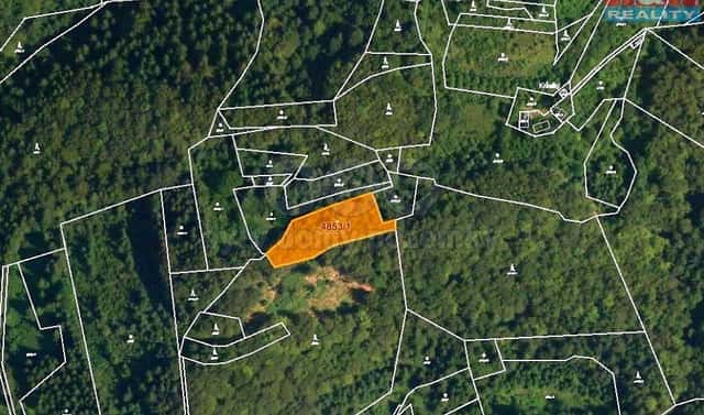 Prodej lesa 3 244 m², Halenkov, okres Vsetín