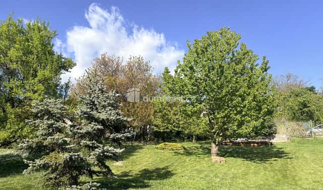 Prodej zahrady 888 m², Bezručova, Mikulov, okres Břeclav