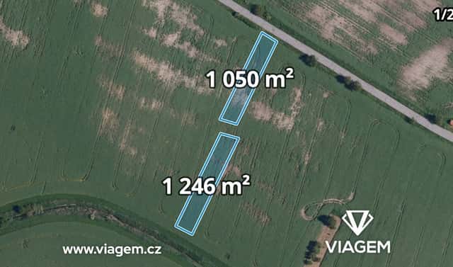 Prodej pole 1 198 m², Krumvíř, okres Břeclav