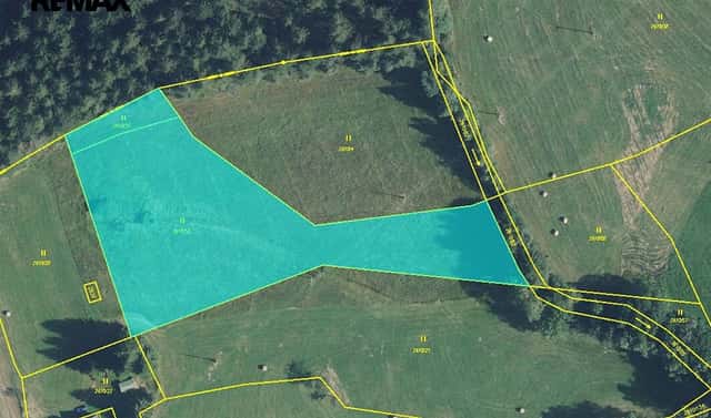 Prodej stavebního pozemku 5 776 m², Borová, okres Svitavy