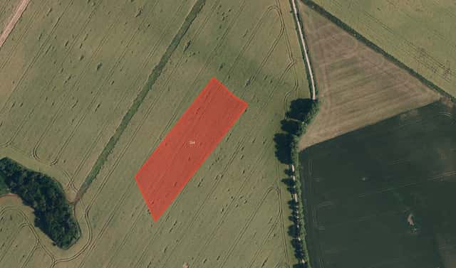 Prodej pole 13 981 m², Babice, okres Třebíč
