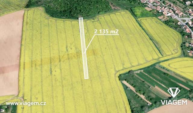 Prodej pole 1 156 m², Labuty, okres Hodonín