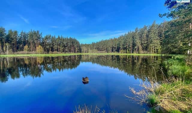Prodej vodní plochy 16 545 m², Trstěnice, okres Cheb