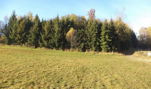 Prodej pozemku 60 778 m², Budišov nad Budišovkou, okres Opava