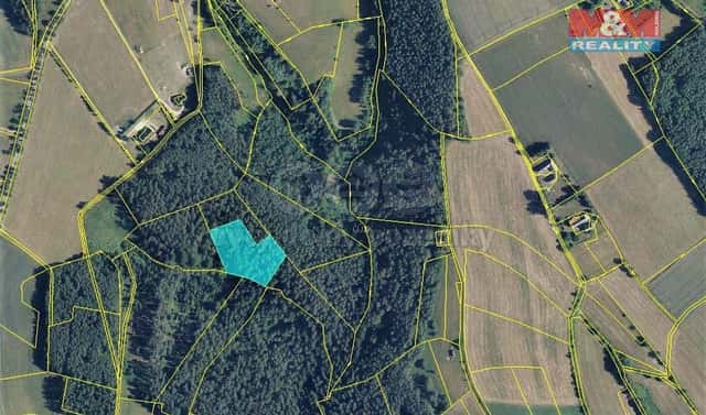 Prodej lesa 6 422 m², Všelibice, okres Liberec