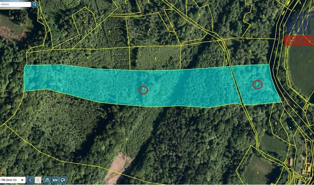 Prodej lesa 48 718 m², Lichnov, okres Nový Jičín
