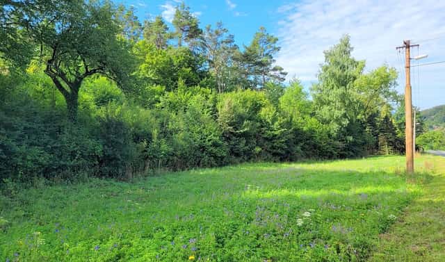 Prodej louky 3 885 m², Sýkořice, okres Rakovník