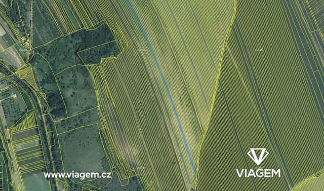 Prodej pole 4 850 m², Velká nad Veličkou, okres Hodonín
