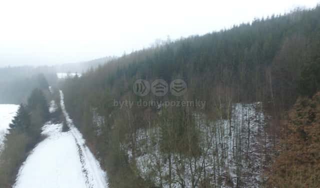 Prodej lesa 89 634 m², Řetová, okres Ústí nad Orlicí