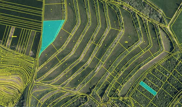 Prodej pozemku 6 750 m², Hustopeče, okres Břeclav