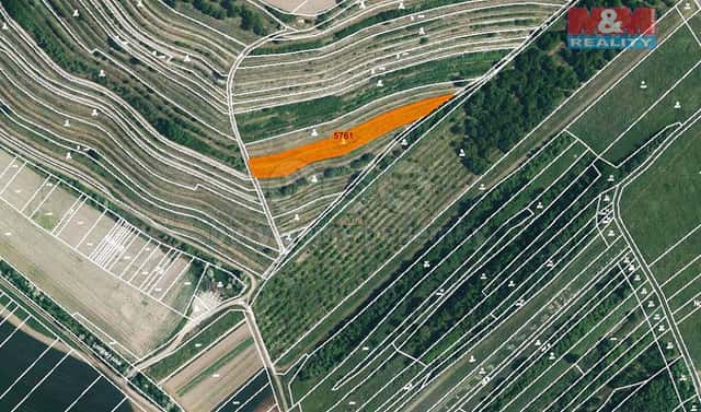 Prodej pole 1 954 m², Lovčičky, okres Vyškov