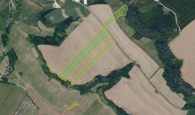 Prodej pole 76 144 m², Střemošice, okres Chrudim
