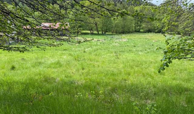 Prodej stavebního pozemku 1 186 m², Prysk – Dolní Prysk, okres Česká Lípa
