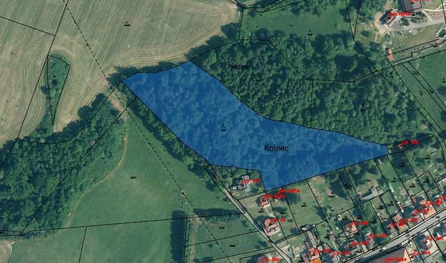 Prodej lesa 1 820 m², Kolinec, okres Klatovy