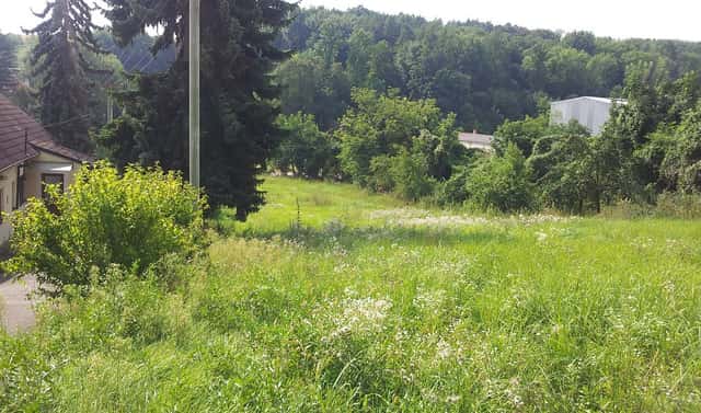 Prodej stavebního pozemku 1 802 m², Diváky, okres Břeclav
