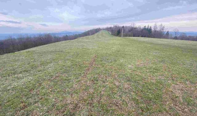 Prodej pole 14 714 m², Mírová pod Kozákovem – Vesec, okres Semily