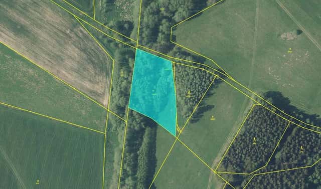 Prodej louky 4 529 m², Broumov – Rožmitál, okres Náchod