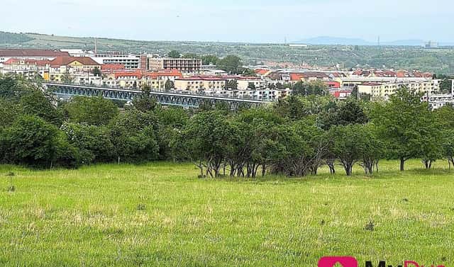 Prodej pole 7 045 m², Nový Šaldorf-Sedlešovice, okres Znojmo