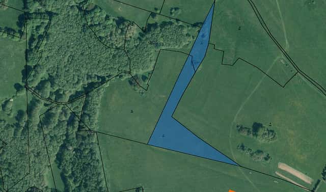 Prodej pozemku 4 011 m², Zádub-Závišín, okres Cheb