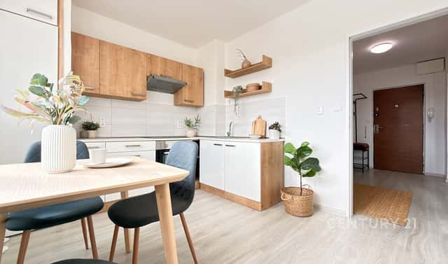 Prodej bytu 1+1 41 m², Stará osada, Brno – Židenice, okres Brno-město