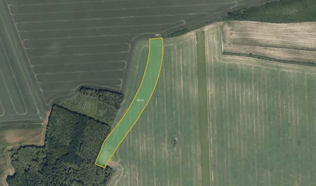 Prodej pole 13 951 m², Český Brod – Liblice, okres Kolín