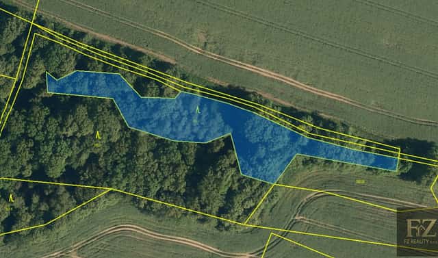 Prodej lesa 4 137 m², Jeseník nad Odrou, okres Nový Jičín
