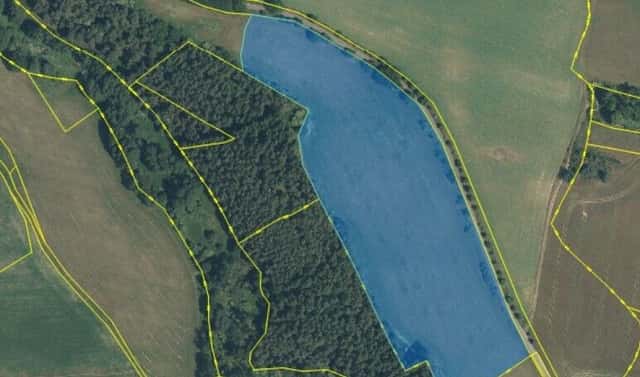 Pronájem pole 563 972 m², Prostiboř, okres Tachov