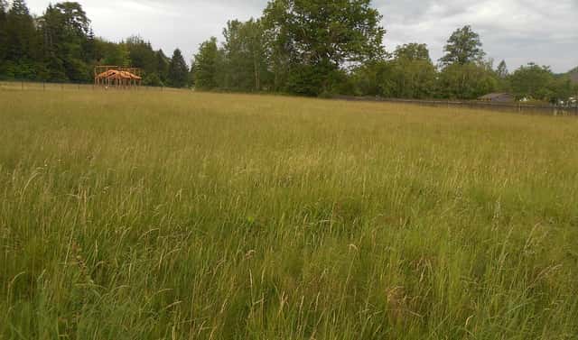 Prodej stavebního pozemku 3 342 m², Rybniště, okres Děčín
