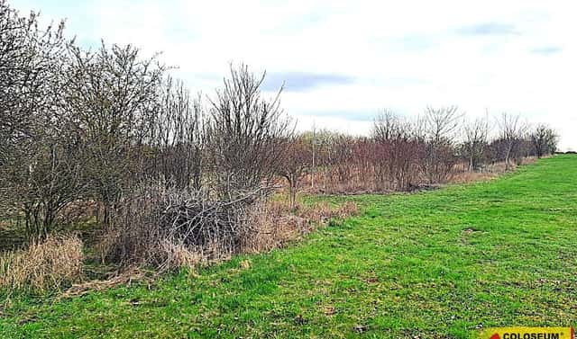 Prodej zahrady 863 m², Brno, okres Brno-město
