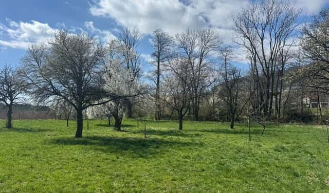 Prodej zahrady 500 m², Nový Jičín