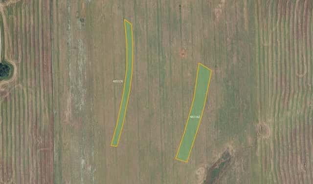 Prodej pole 15 360 m², Újezd u Boskovic, okres Blansko