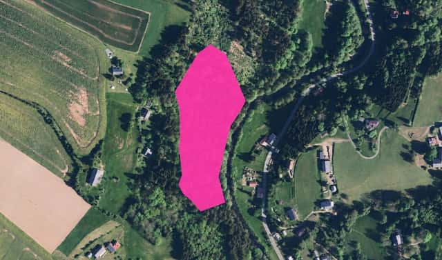 Prodej lesa 19 893 m², Klášterec nad Orlicí, okres Ústí nad Orlicí