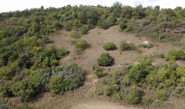 Prodej pole 22 441 m², Řehlovice – Stadice, okres Ústí nad Labem