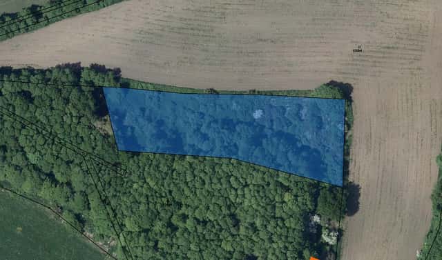 Prodej lesa 6 587 m², Měrunice, okres Teplice