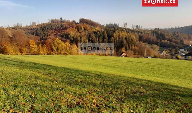 Prodej louky 20 000 m², Oznice, okres Vsetín