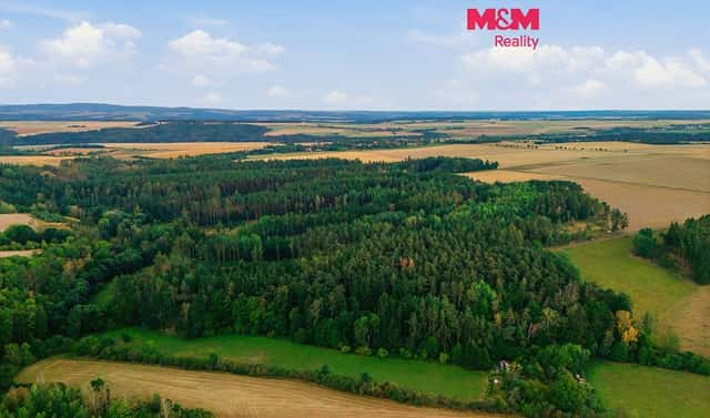 Prodej lesa 4 230 m², Břežany, okres Rakovník