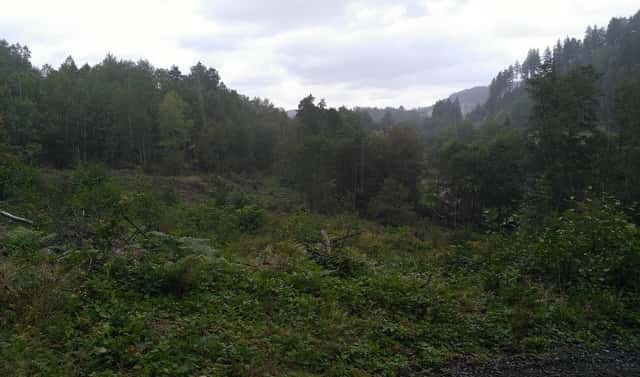 Prodej zahrady 7 879 m², Košťálov, okres Semily
