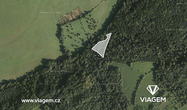 Prodej lesa 2 043 m², Luhačovice, okres Zlín
