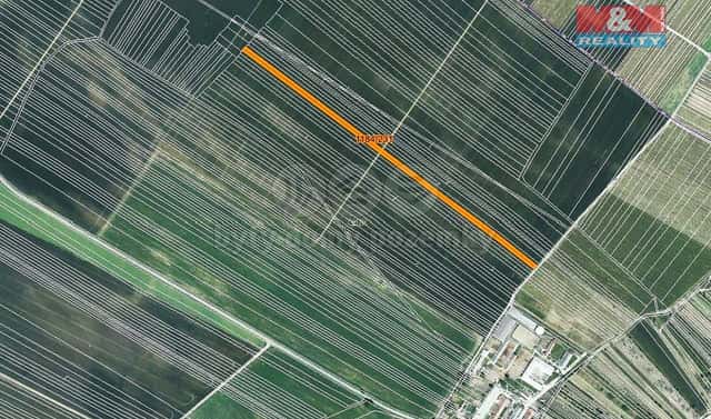 Prodej pole 786 m², Týnec, okres Břeclav