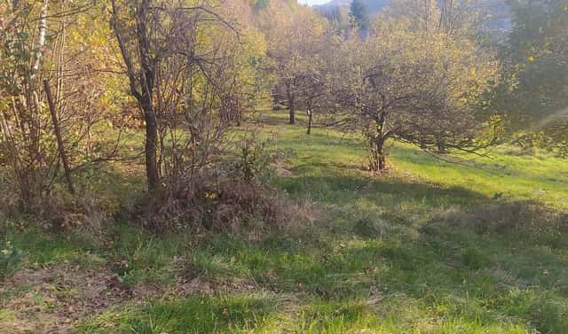 Prodej stavebního pozemku 2 994 m², Vsetín
