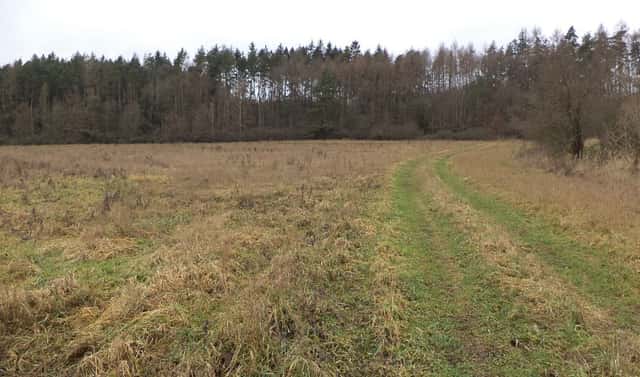 Prodej pole 7 890 m², Srby, okres Plzeň-jih
