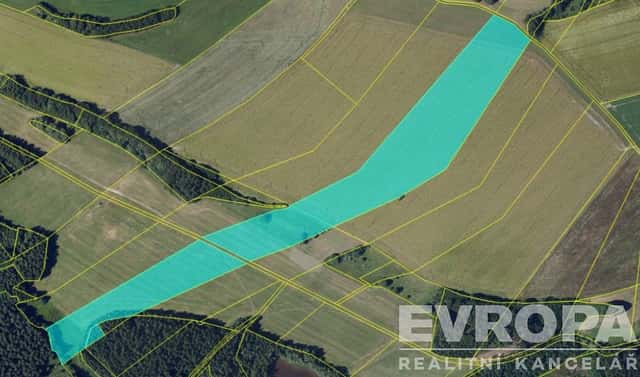 Prodej pole 65 443 m², Krucemburk, okres Havlíčkův Brod