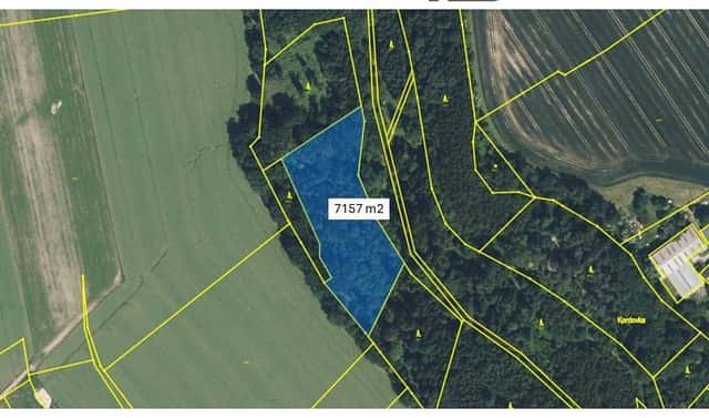 Prodej lesa 8 286 m², Svijanský Újezd, okres Liberec