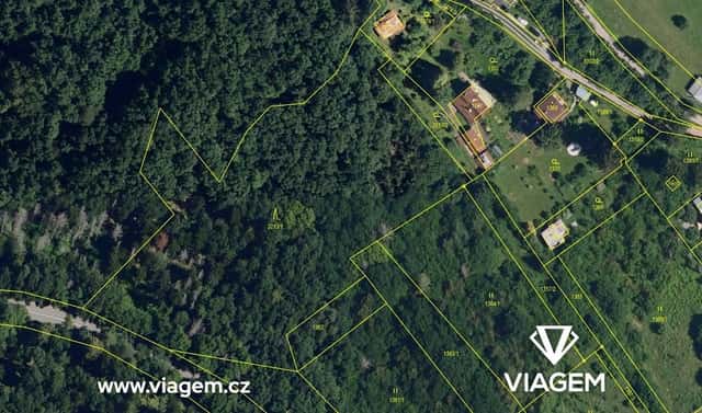 Prodej lesa 8 999 m², Veverská Bítýška, okres Brno-venkov